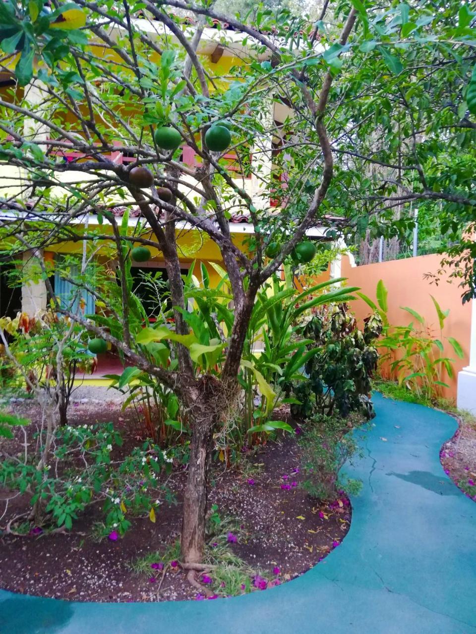Sámara Villas Verdes מראה חיצוני תמונה